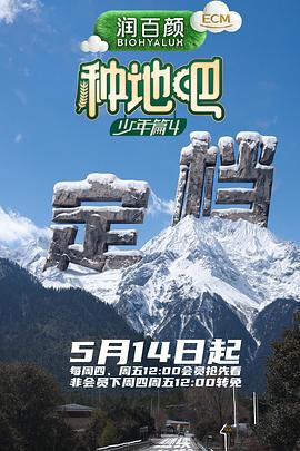 《飞屋环游记》动漫封面